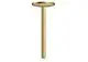 AXOR-HG-AXOR-One-Deckenanschluss-300-mm-fuer-Kopfbrause-280-1jet-Brushed-Brass-48495950 gallery number 1